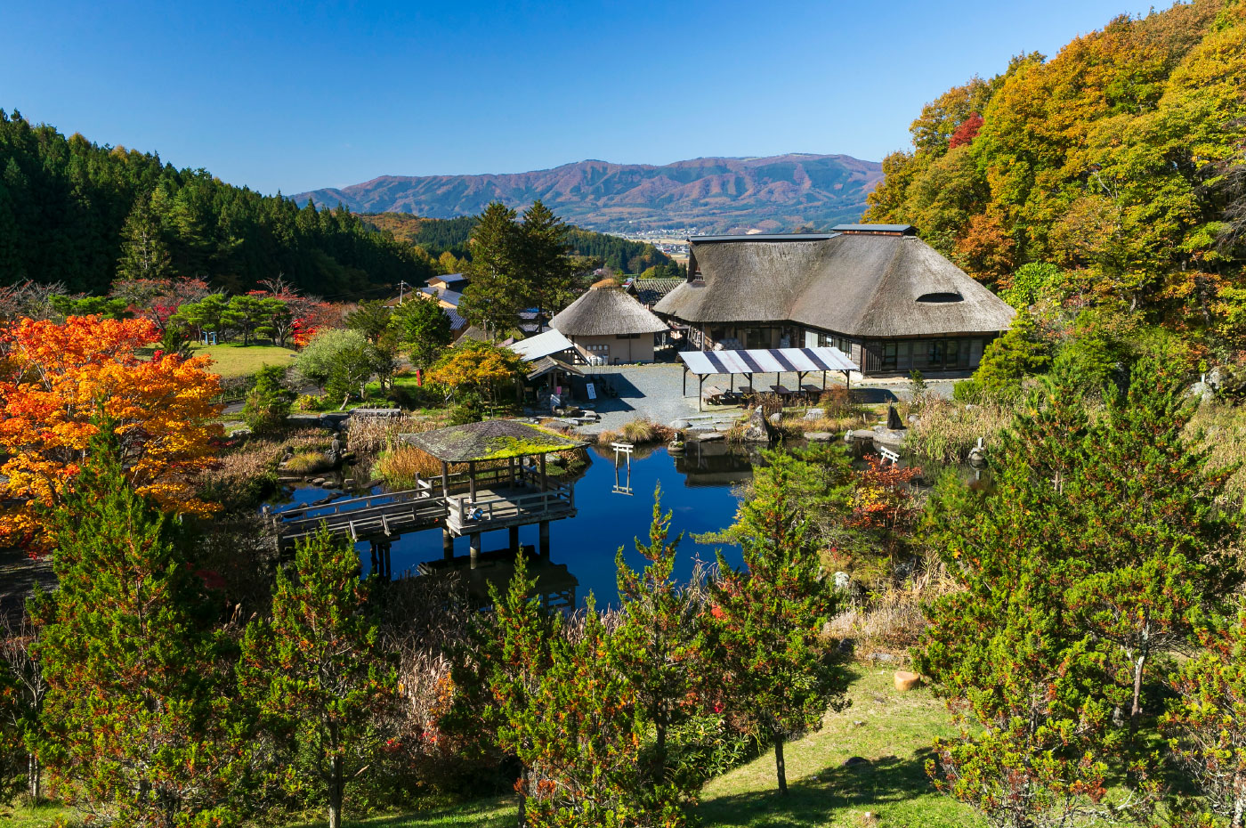 たかむろ水光園