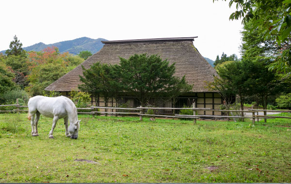 遠野ふるさと村